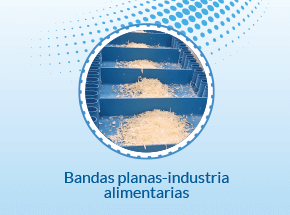 Flat Belts-Food CAT504ES00