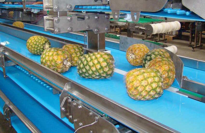horizontal conveyors
